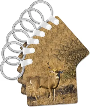 3dRose, Desert Mule Deer buck in desert mountain habitat - US44 LDI0996 - Larry Ditto, Key Chain