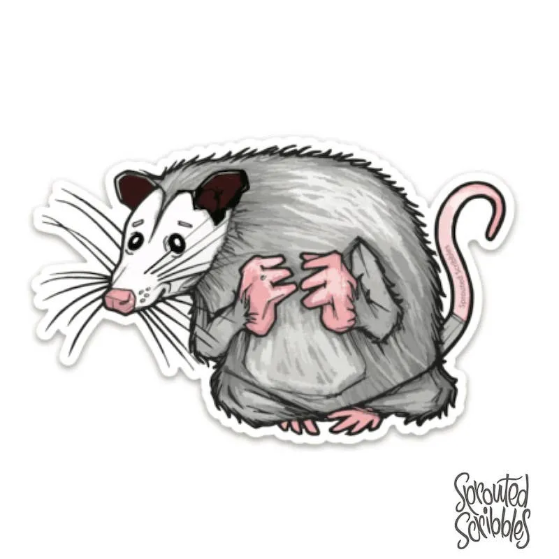 Opossum Sticker - Cute Animal