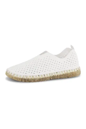 Speckle Sole Tulip by Ilse Jacobsen